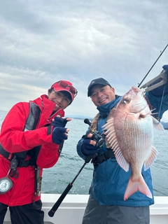 マダイの釣果