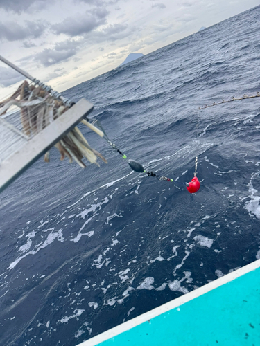 キンメダイの釣果