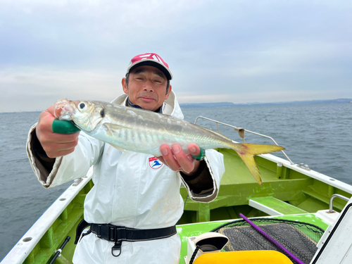 マアジの釣果