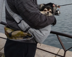 ハゼの釣果