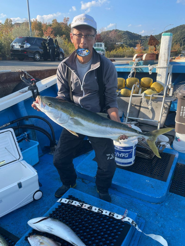 ブリの釣果