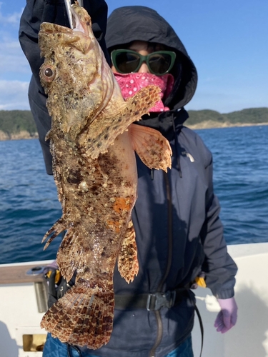 オニカサゴの釣果