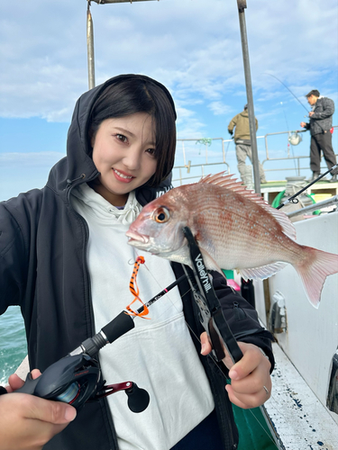 マダイの釣果