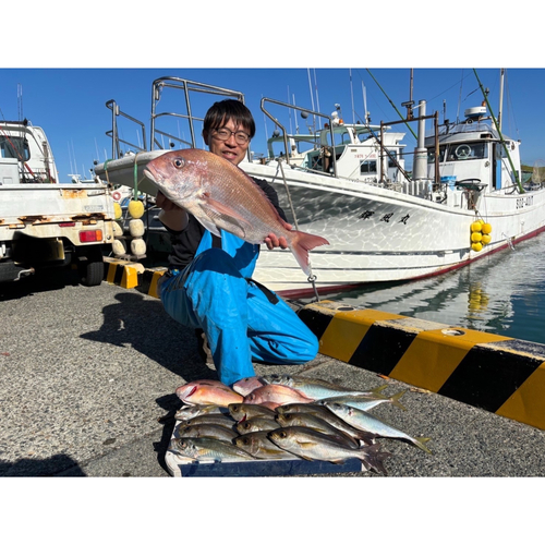 イサキの釣果