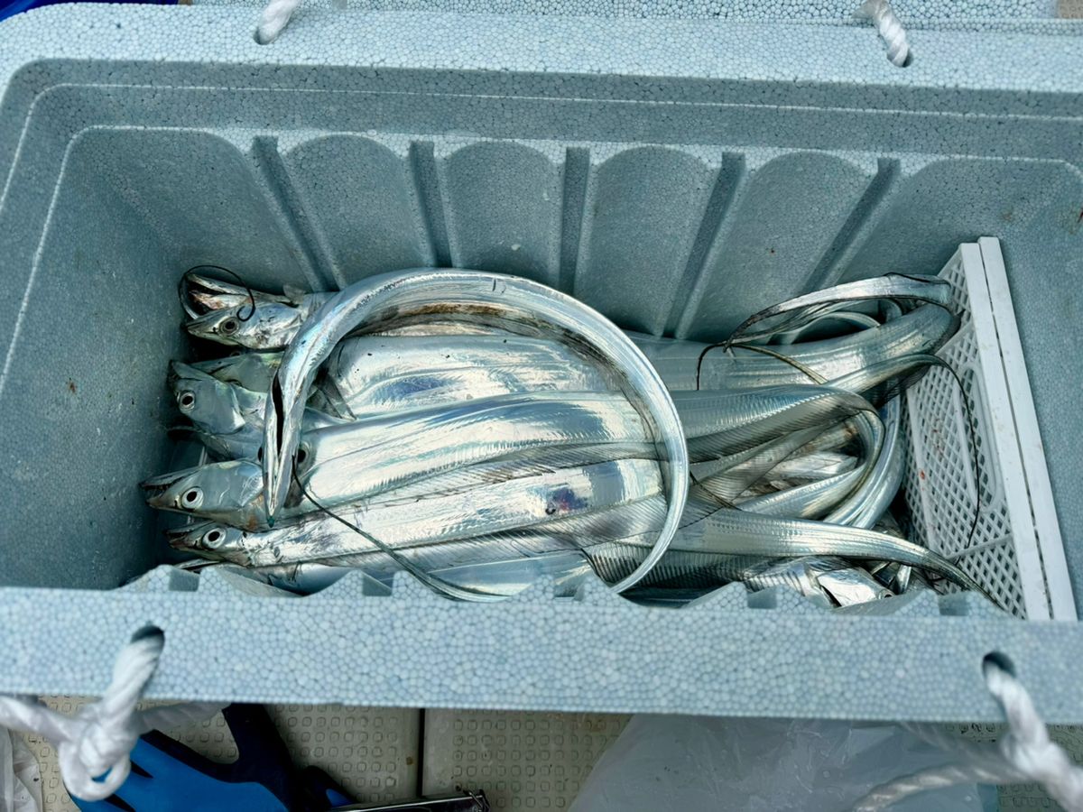 MIYUKI1038さんの釣果 2枚目の画像