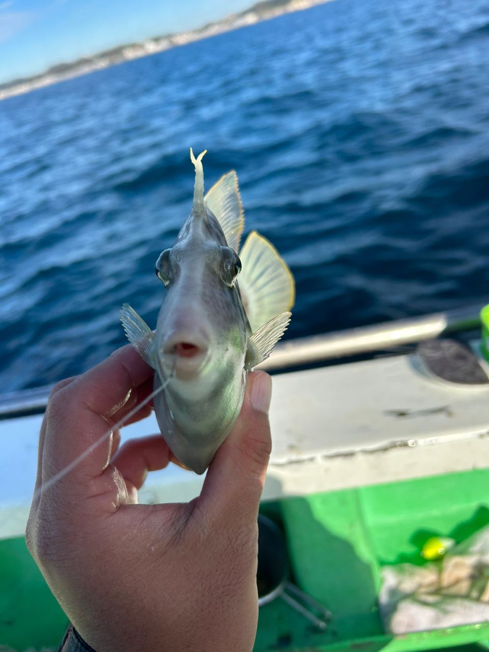 きンちゃンさんの釣果 2枚目の画像