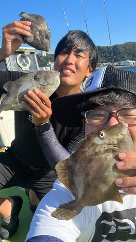 カワハギの釣果