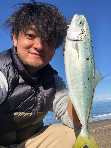 イナダの釣果