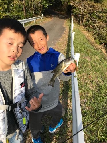 ブラックバスの釣果