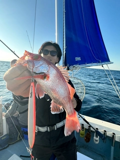 アカムツの釣果