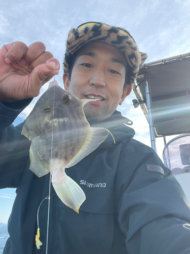 カワハギの釣果