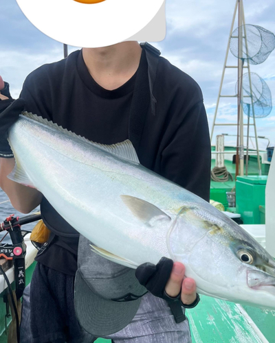 ワラサの釣果