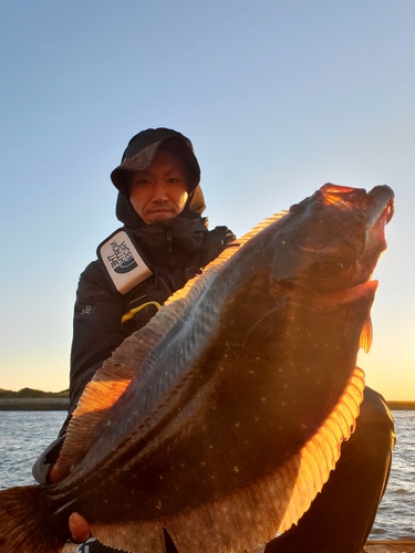 ヒラメの釣果