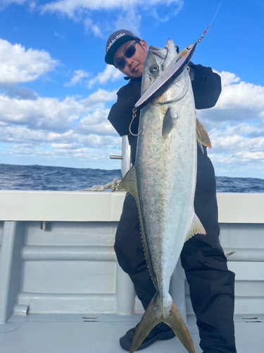 ヒラマサの釣果