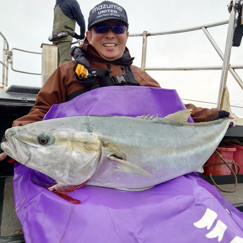 ヒラマサの釣果