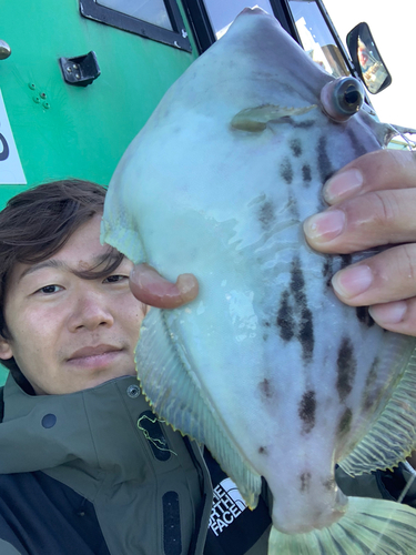 カワハギの釣果