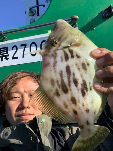 カワハギの釣果