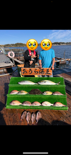 ワラサの釣果