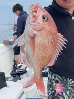 タイの釣果