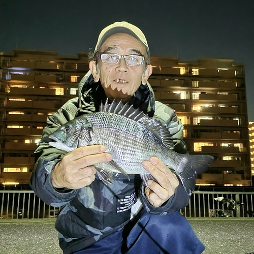 チヌの釣果