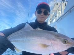 カンパチの釣果