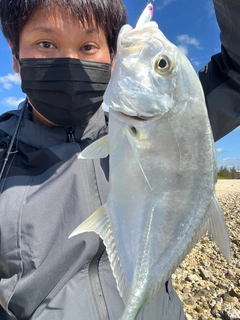 ガーラの釣果