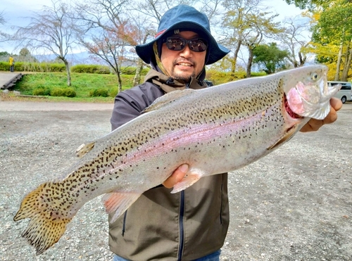 ニジマスの釣果