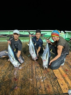 キハダマグロの釣果