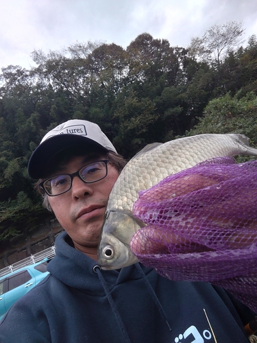 ヘラブナの釣果