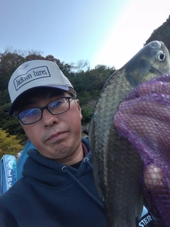 ヘラブナの釣果