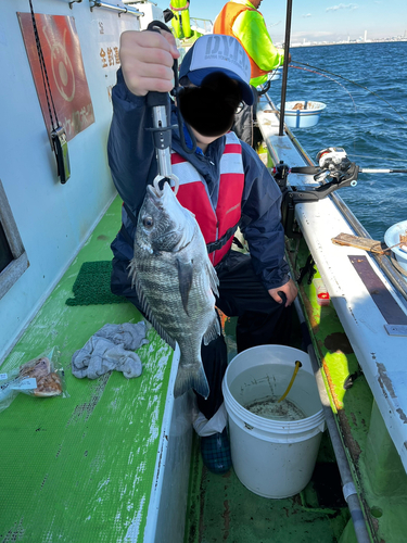 クロダイの釣果