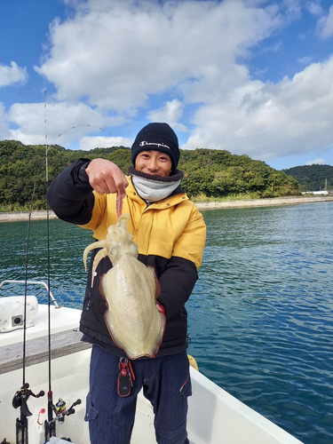 コウイカの釣果