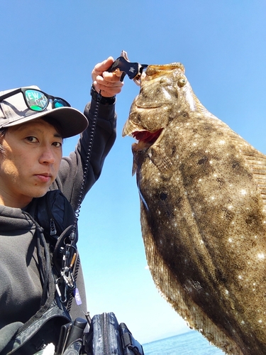 ヒラメの釣果