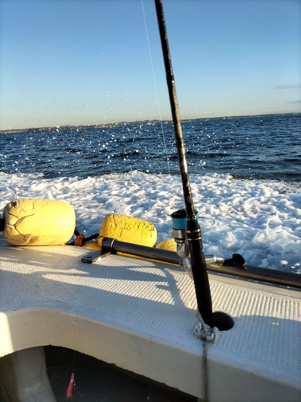 虎ウトの穴❗❗（トラウトアングラー隊）さんの釣果 2枚目の画像