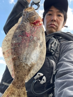 ヒラメの釣果