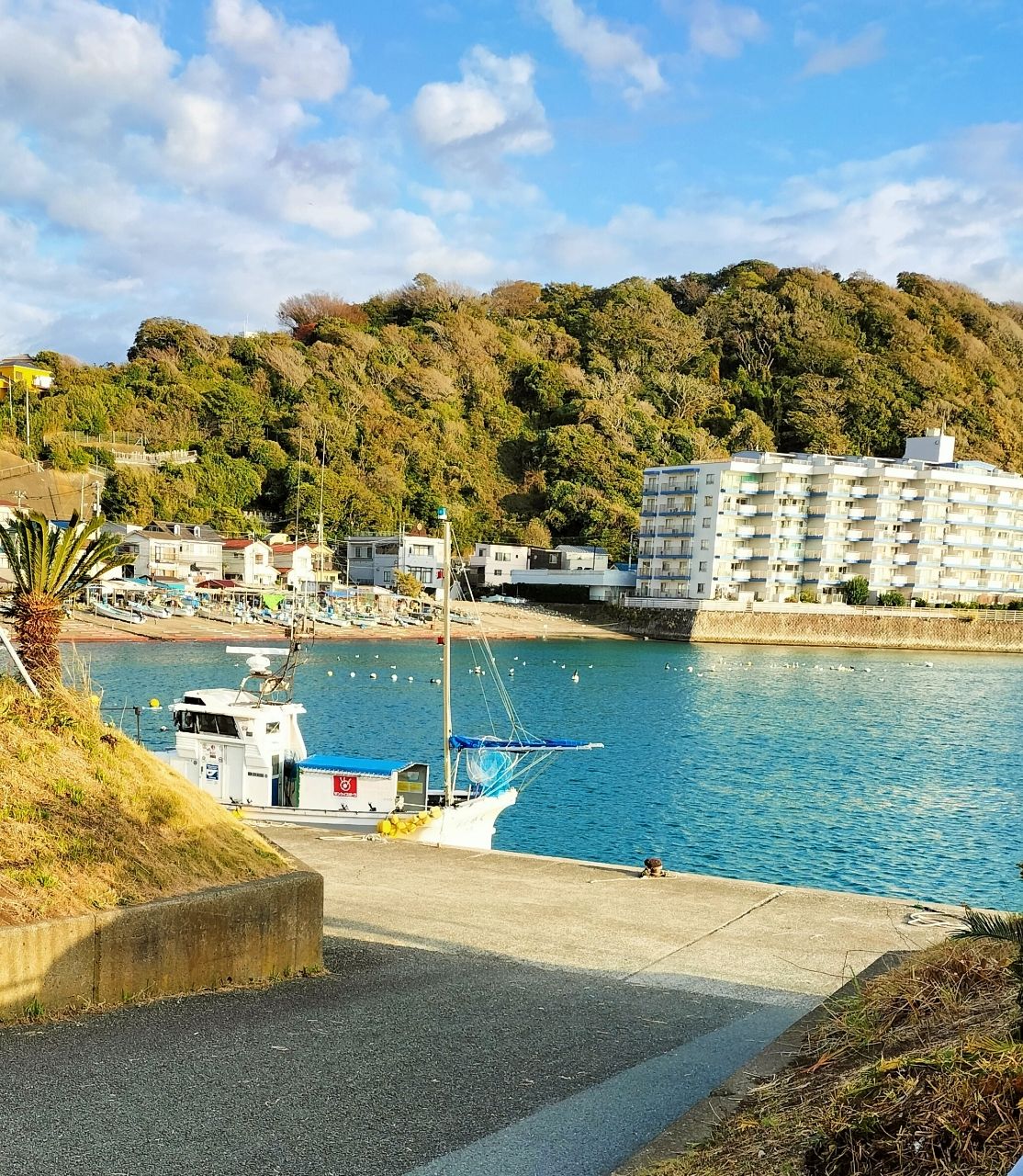 虎ウトの穴❗❗（トラウトアングラー隊）さんの釣果 3枚目の画像