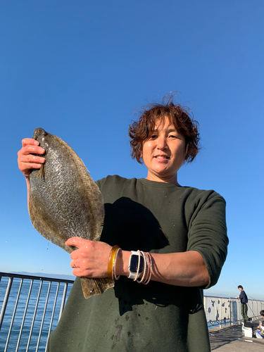 ヒラメの釣果