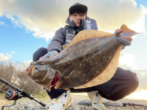 ヒラメの釣果