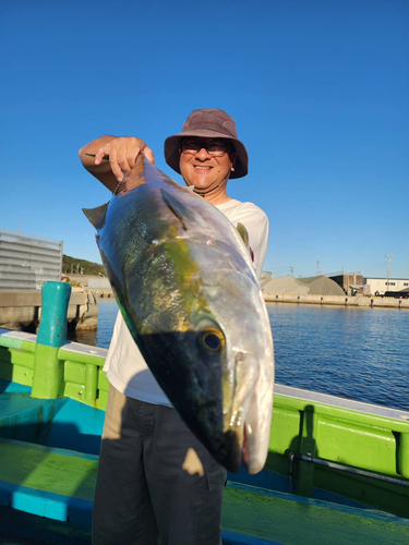 ブリの釣果