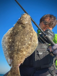 ヒラメの釣果