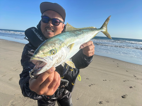 ワラサの釣果