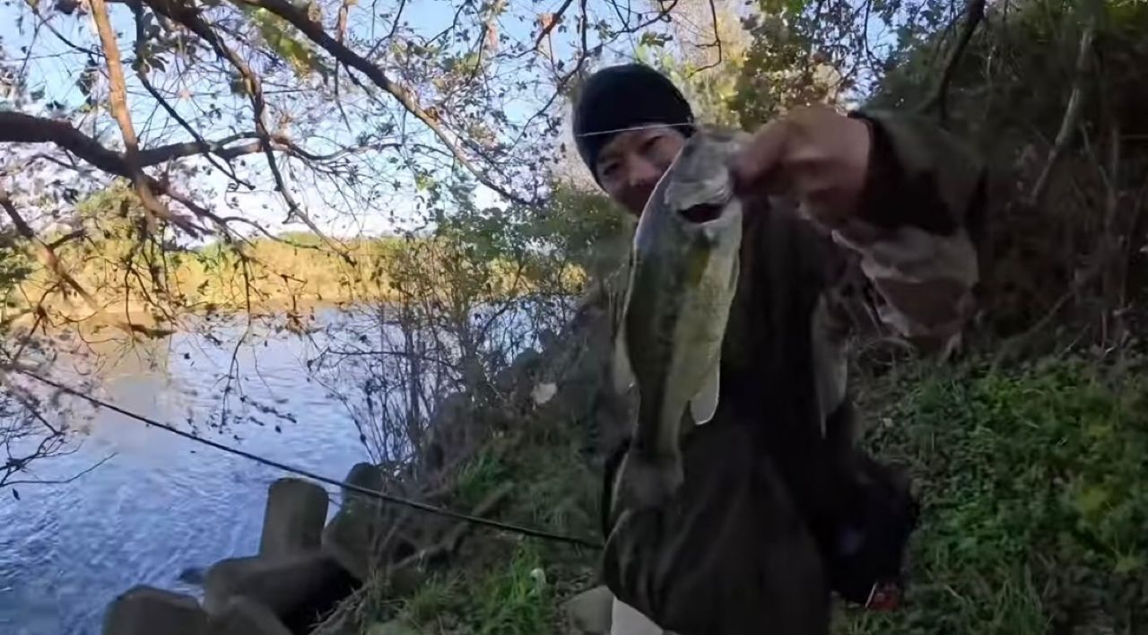 ラージマウスバス