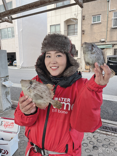 カワハギの釣果