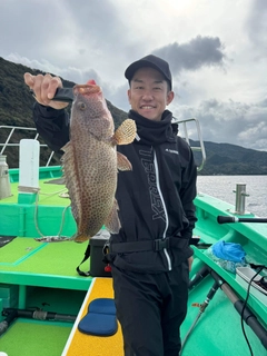 オオモンハタの釣果