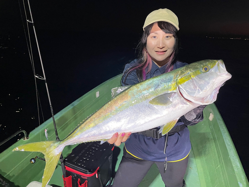 ブリの釣果