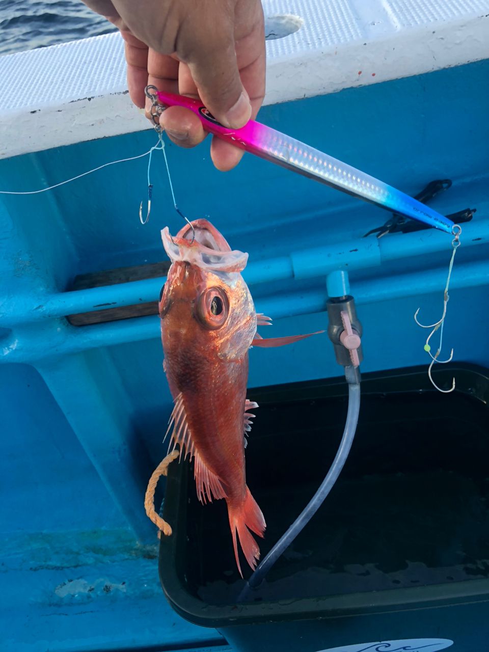 まにょん♪さんの釣果 1枚目の画像