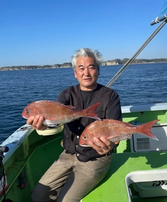 マダイの釣果