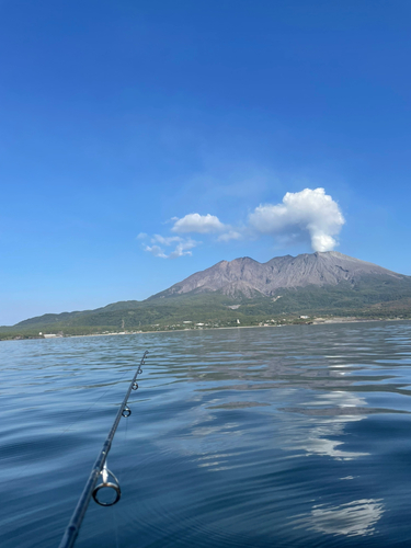 ネリゴの釣果