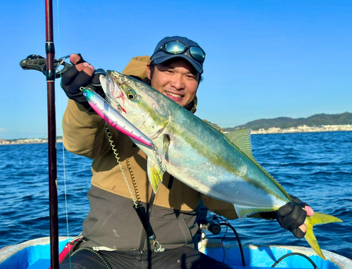 ワラサの釣果