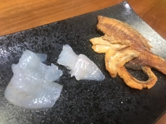 チャリコの釣果